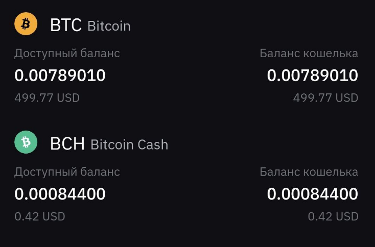 Готово! Теперь у нас на кошельке на бирже Bybit «лежит» Bitcoin.
