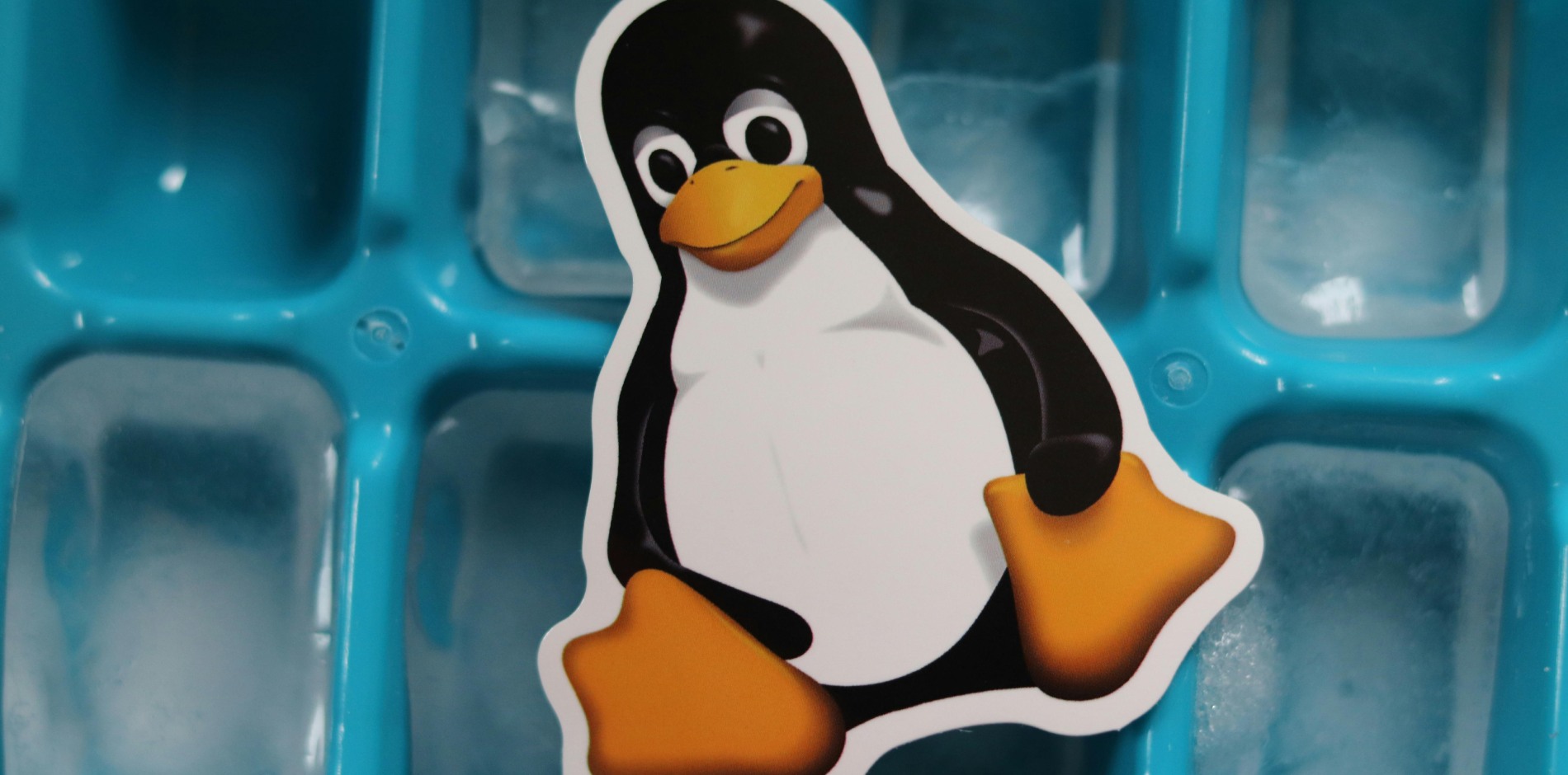 Структура и типы файловых систем в Linux