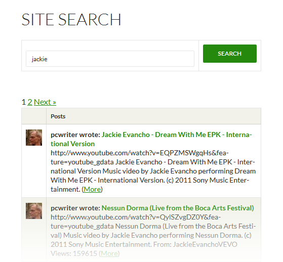 Установка Global Site Search для WordPress Multisite