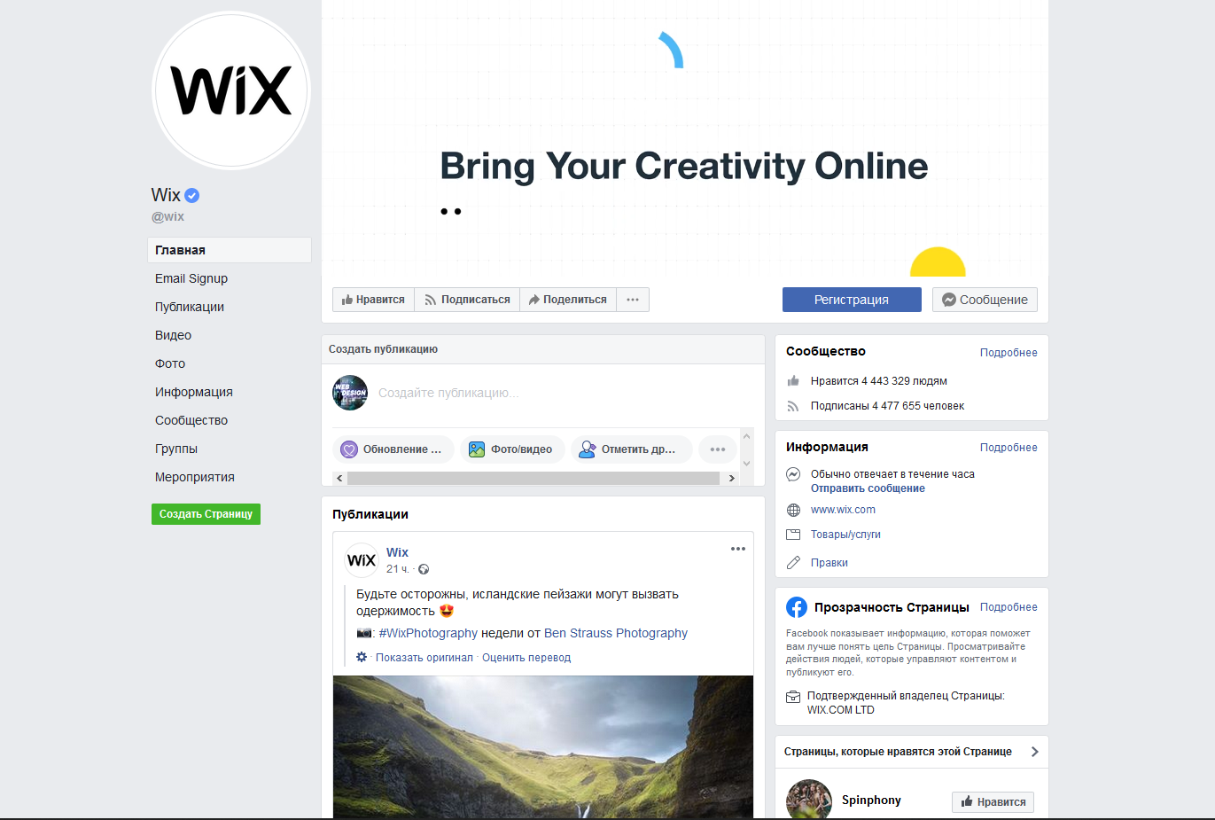 Бизнес-страница Wix
