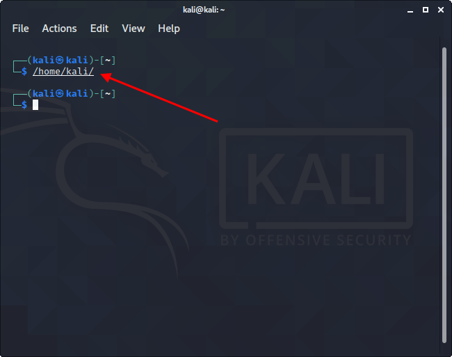 Как сменить директорию в консоли Kali Linux