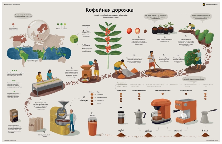 Инфографика, описывающая процесс готовки кофе