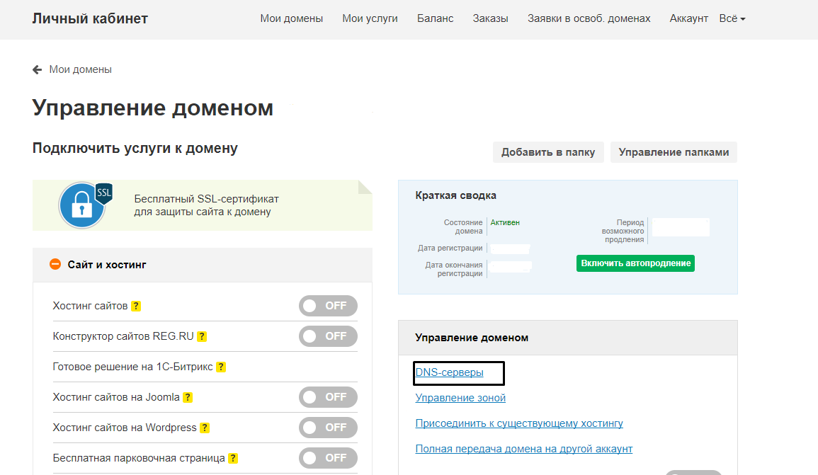 Как поменять NS-записи домена в панели управления на Reg.Ru