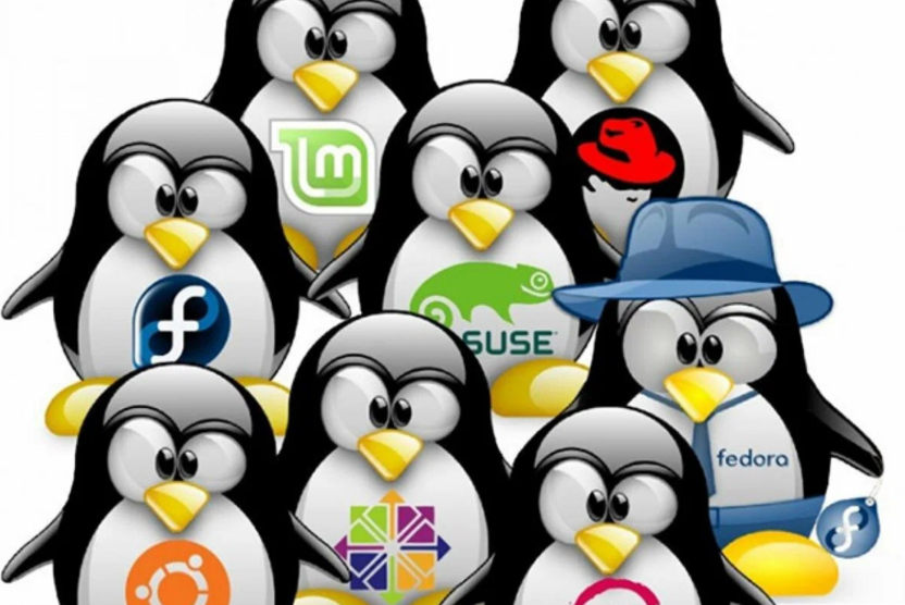 Форматы пакетов в разных версиях Linux