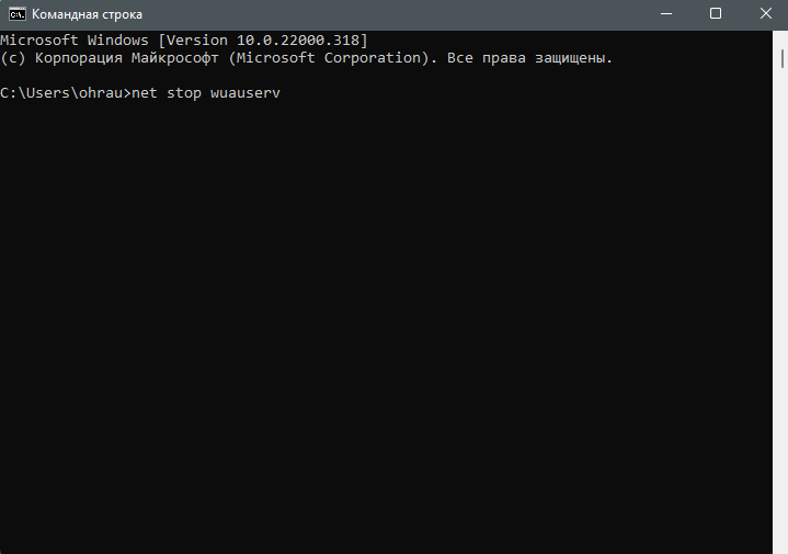 Ввод команд в терминале для решения ошибки 0x80070422 при обновлении Windows 11