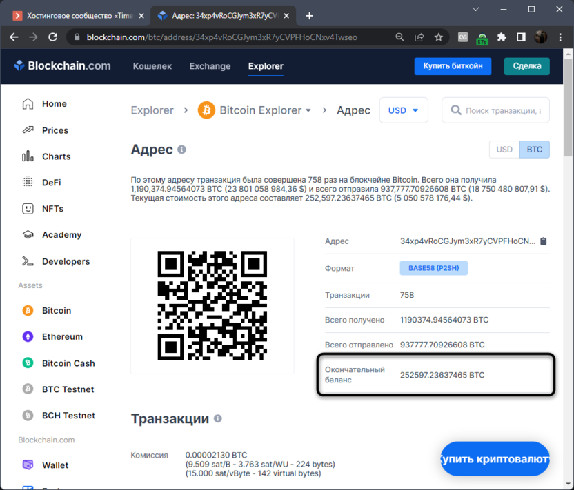 Verification of information to view the balance of a Bitcoin wallet through the Blockchain site