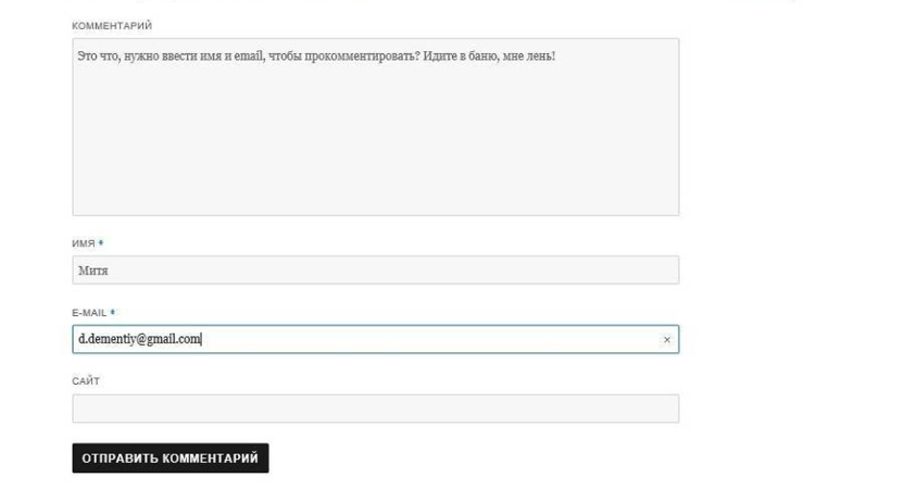 Commenting form on a WordPress site