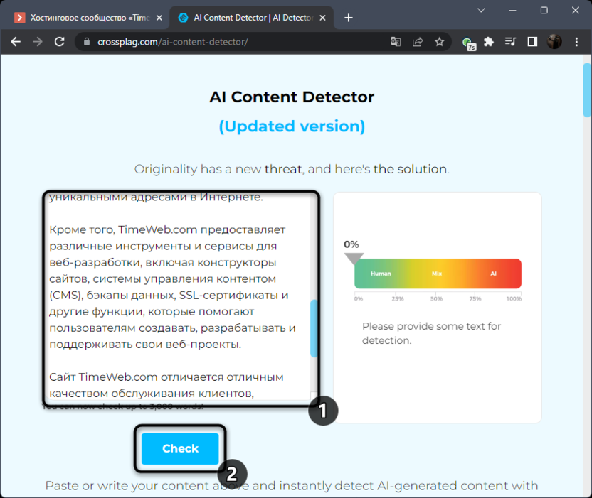 Вставка фрагмента для проверки текста на сайте AI Content Detector