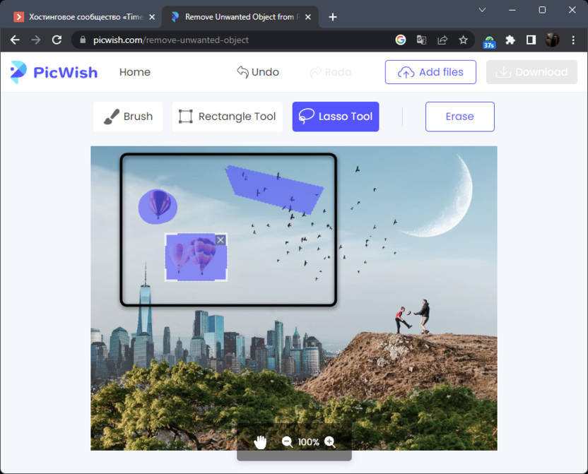 Результат выделения объектов для удаления на сайте PicWish