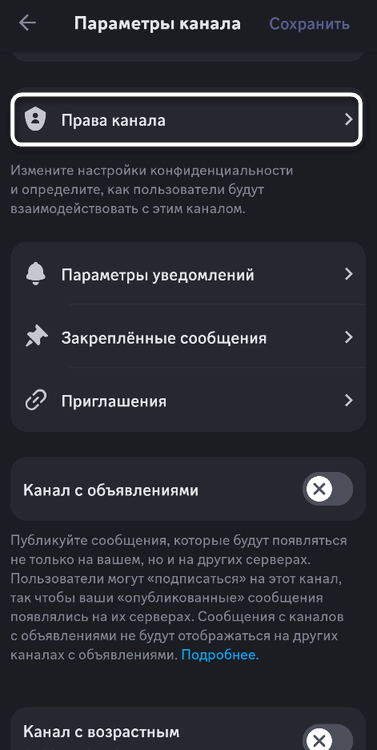 Открытие настроек прав канала для проведения активностей в мобильном приложении Discord