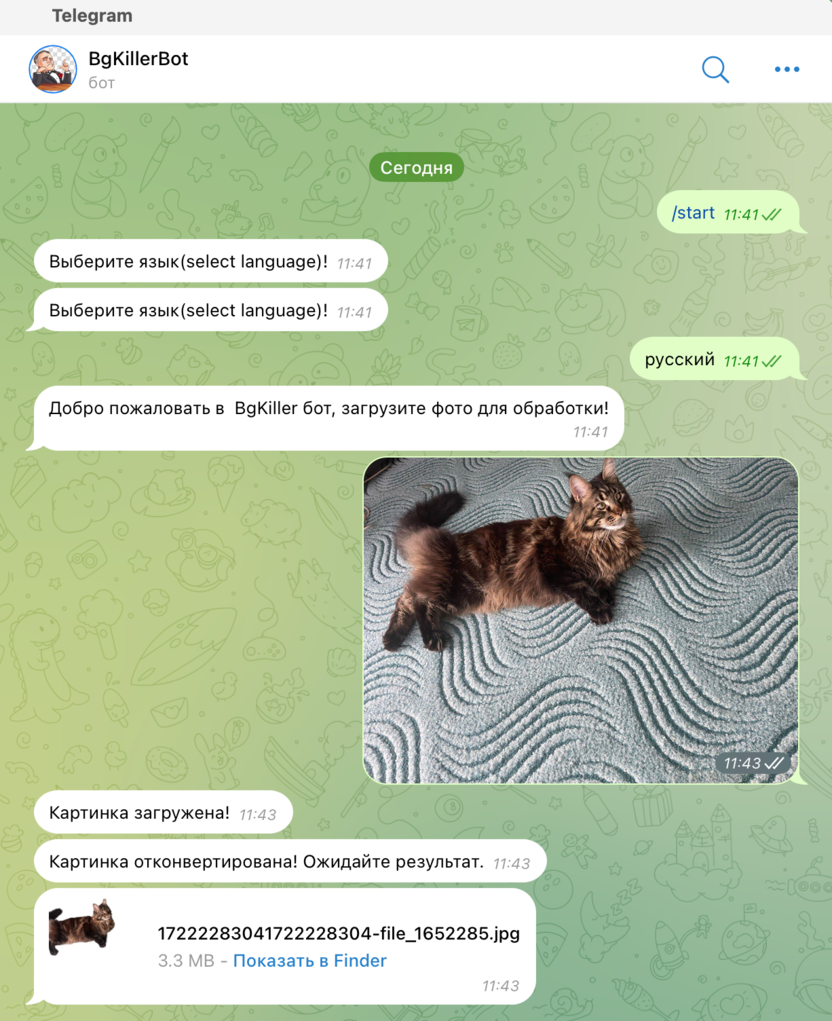 bot_telegram