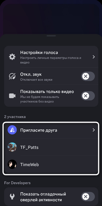 Список участников голосового канала для отключения микрофона участнику в мобильном приложении Discord