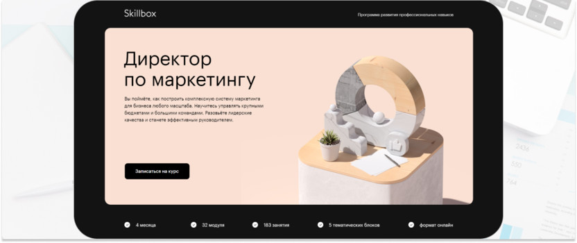 «Директор по маркетингу» – Skillbox