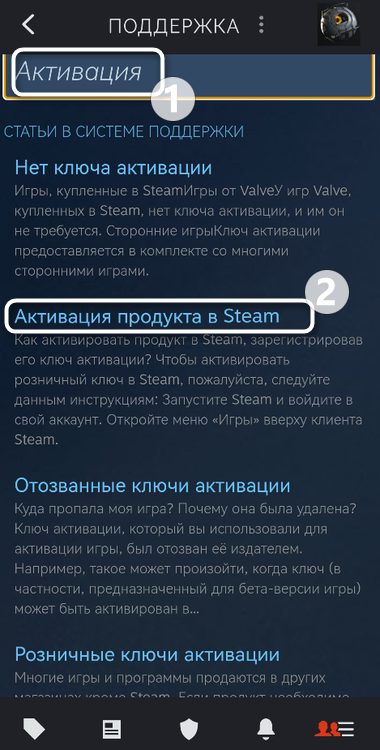 Выбор нужной статьи для активации ключа в Steam через мобильное приложение