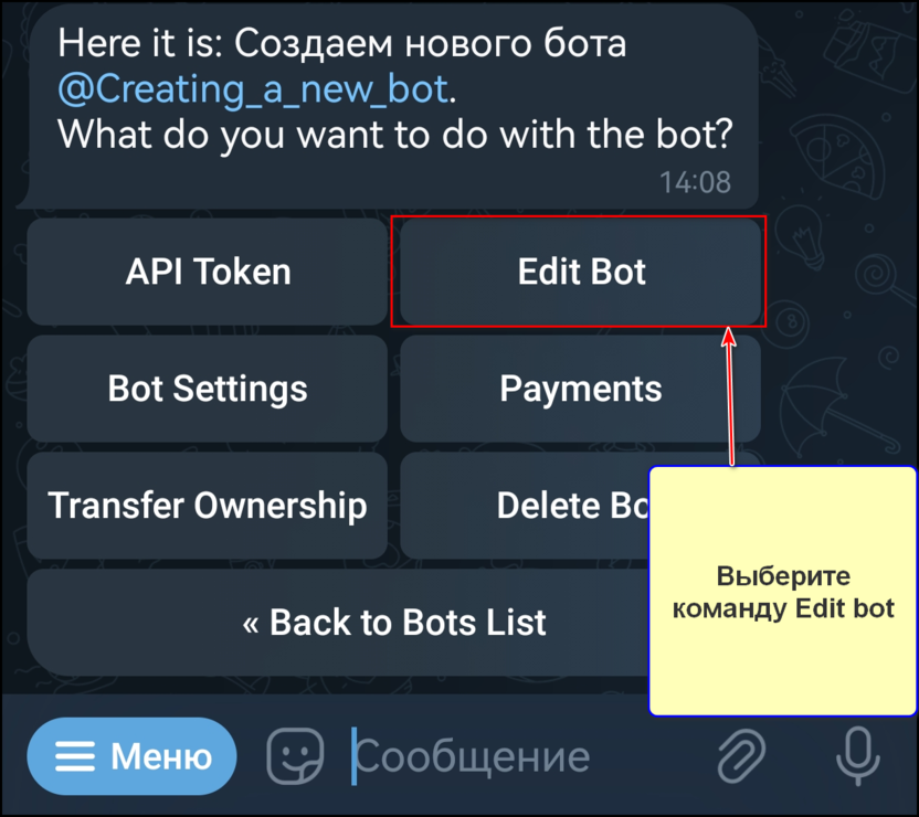 В появившемся меню команд выберите кнопку «Edit bot» - «редактировать бота»