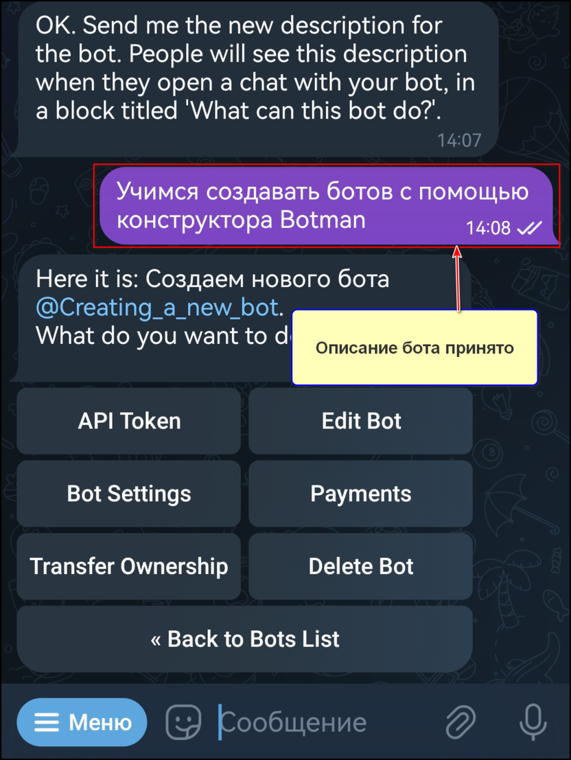 Ввод описания бота