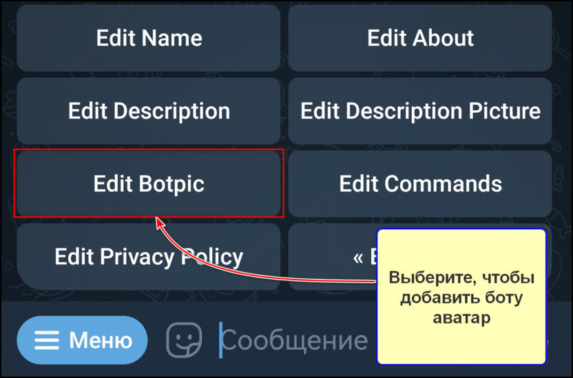 Командой «Edit Botpic» вы можете добавить боту аватар