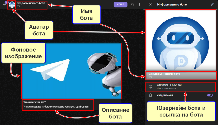 После того, как вы выполните эти действия, ваш бот будет иметь аватар, описание и изображение на его фоне.