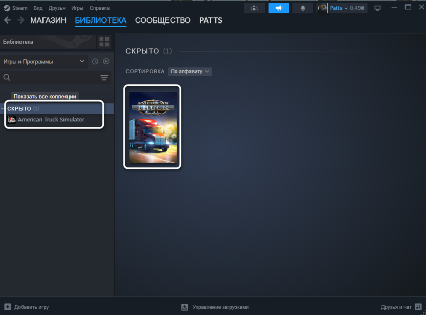 Просмотр скрытых игр для решения проблемы с отображением игр в библиотеке Steam