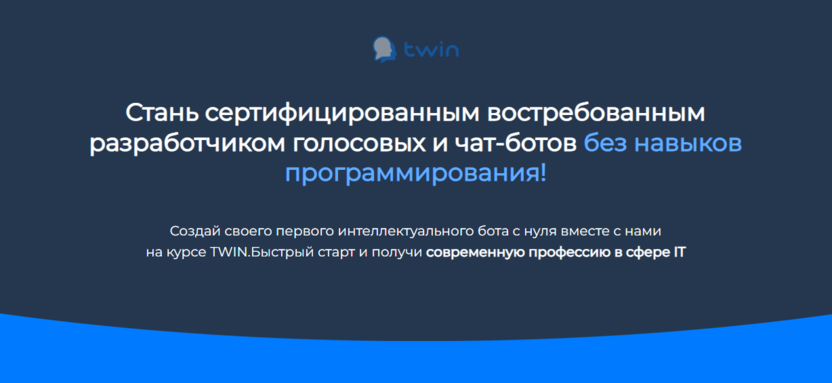 7. Голосовые и чат-боты в no-code | TWIN