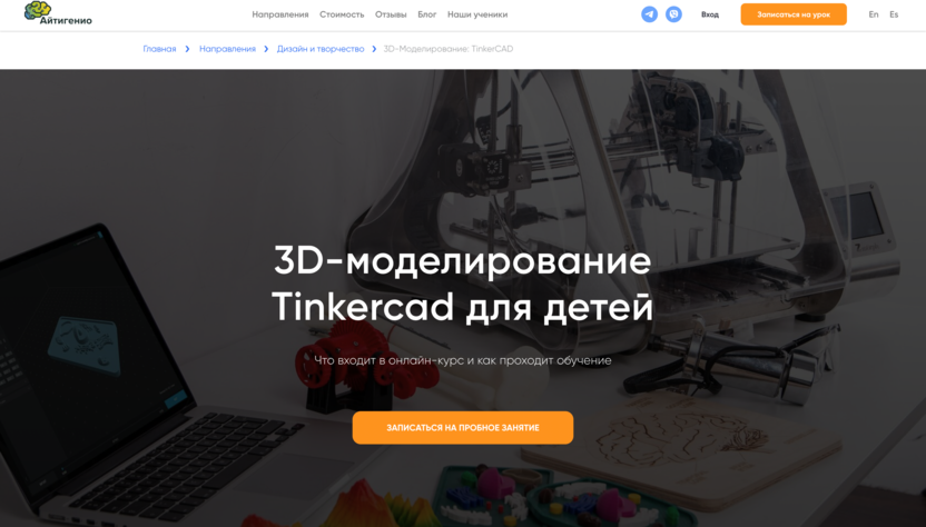 3D-моделирование в Tinkercad для детей в «Айтигенио»