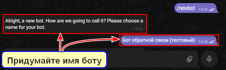 Ввод имени в BotFather