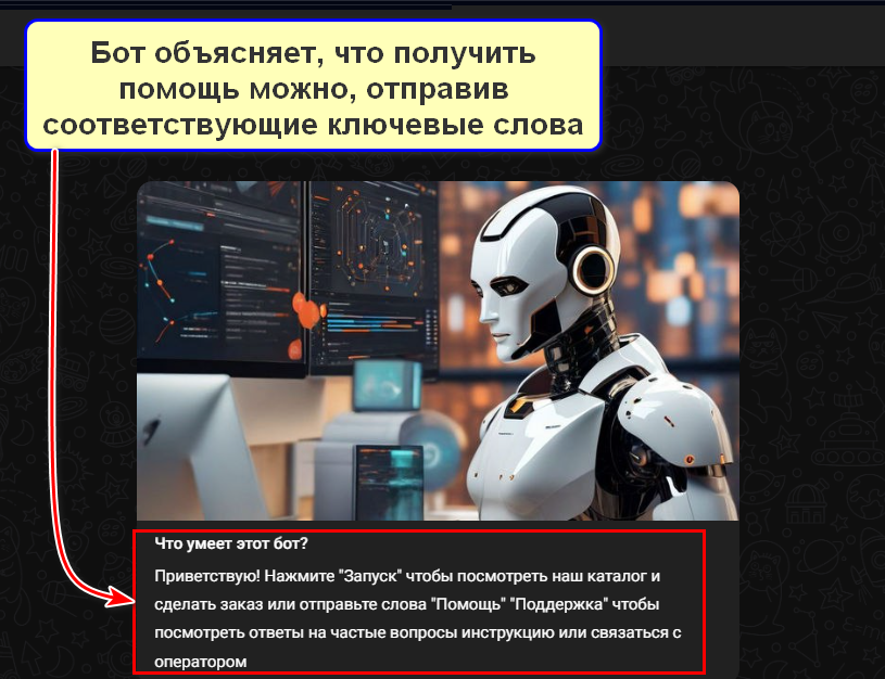 Создание сценария бота в BotMan