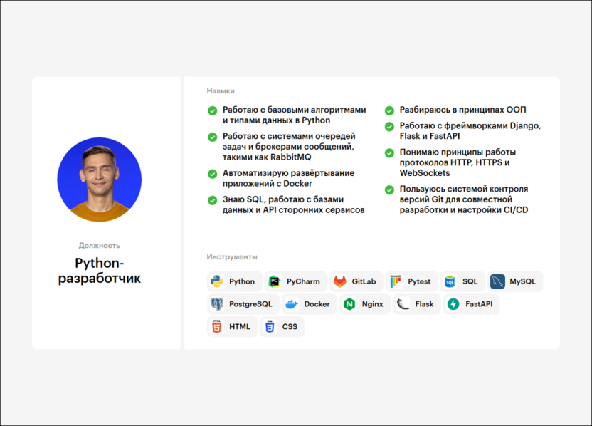 Удаленная профессия Python-разработчик