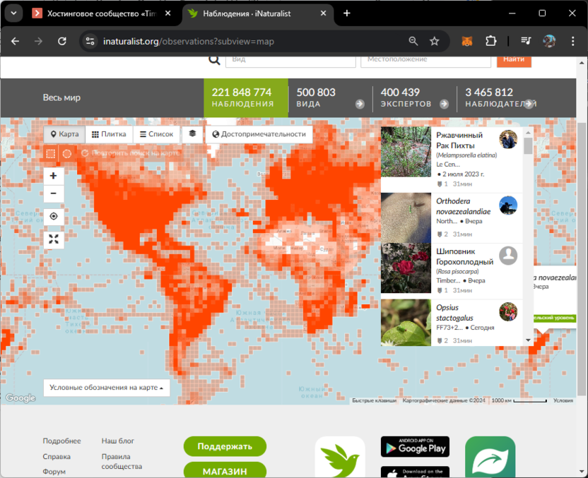 Просмотр интерактивной карты для идентификации природы через iNaturalist