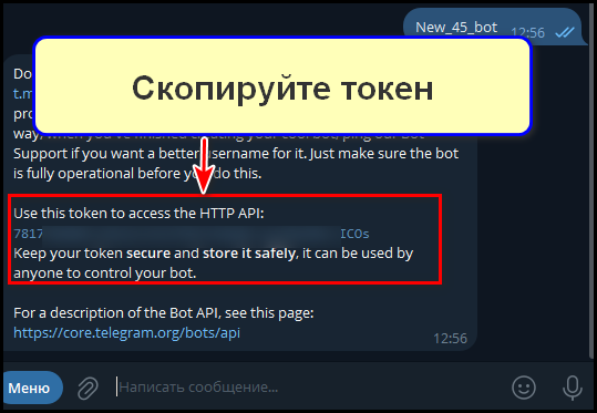 Создание бота и получение его токена, шаг 5