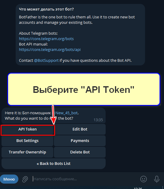 Как скопировать токен в Ботфазер, шаг 3