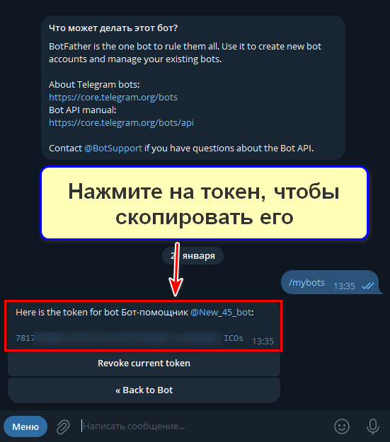 Как скопировать токен в Ботфазер, шаг 4