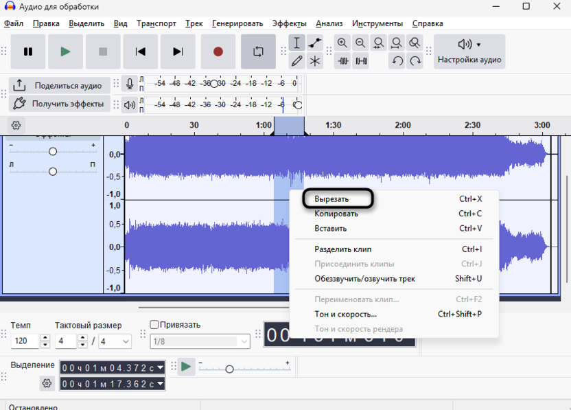 Удаление лишних фрагментов для удаления фонового шума в Audacity