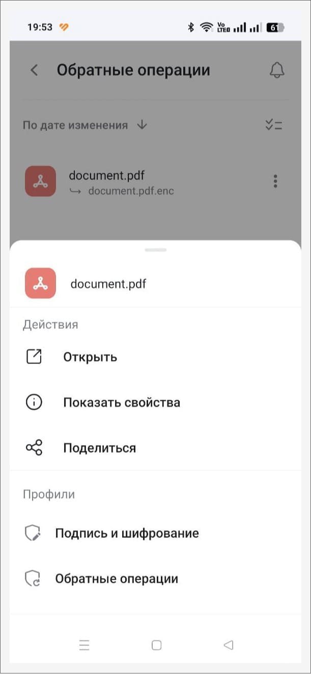 Возможности по работе с расшифрованным файлом