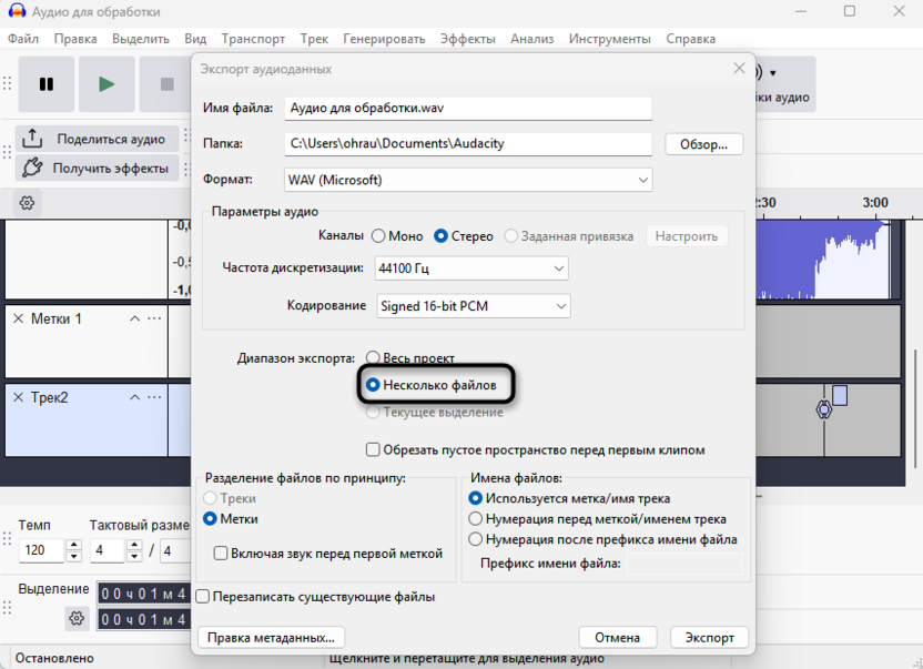 Выбор типа сохранения для экспорта нескольких файлов через Audacity