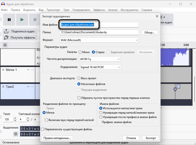 Ввод названия первого файла для экспорта нескольких файлов через Audacity