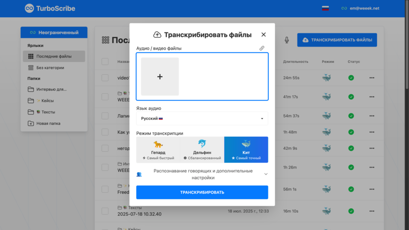 Пример работы с записью в TurboScribe