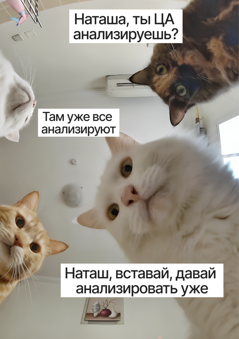Мем с котами и Наташей