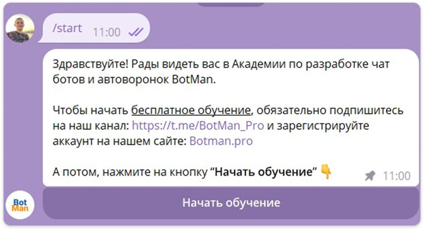 Функционирующий бот