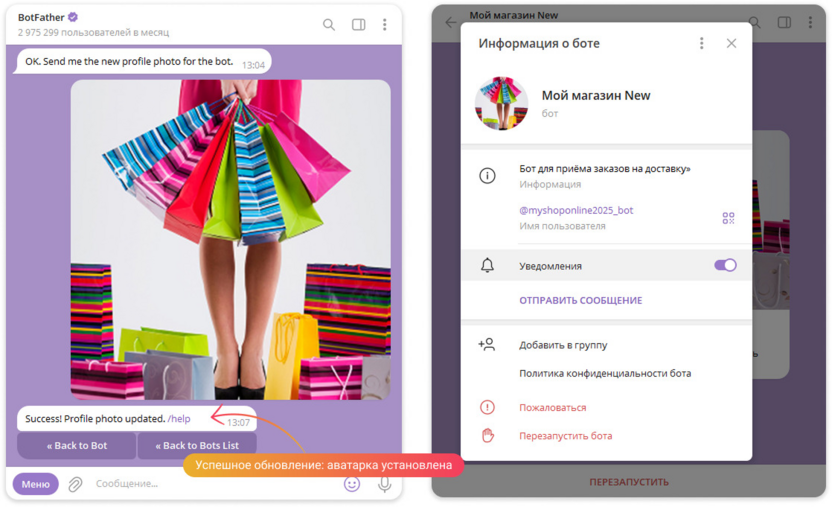 Установка аватарки бота