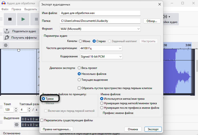 Выбор типа сохранения для экспорта отдельных аудиодорожек из Audacity