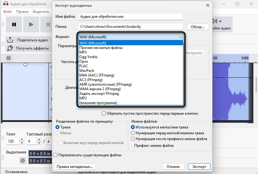 Выбор формата для экспорта отдельных аудиодорожек из Audacity