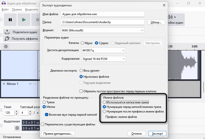 Доступные типы имен файлов для экспорта отдельных аудиодорожек из Audacity
