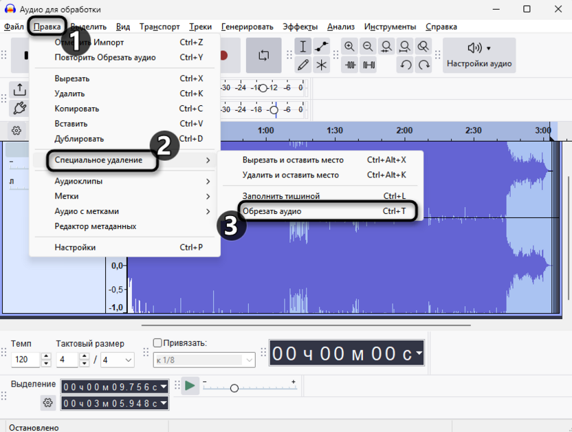 Подтверждение операции обрезки лишнего по краям записи в Audacity