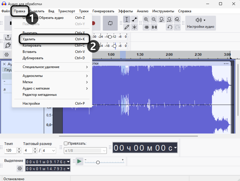 Стандартное удаление части с середины дорожки в Audacity