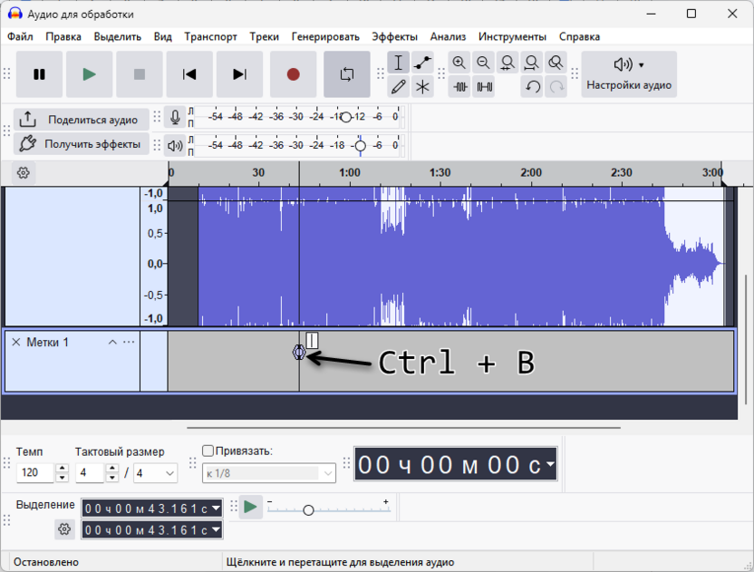 Добавление первой метки для разделения дорожек в Audacity