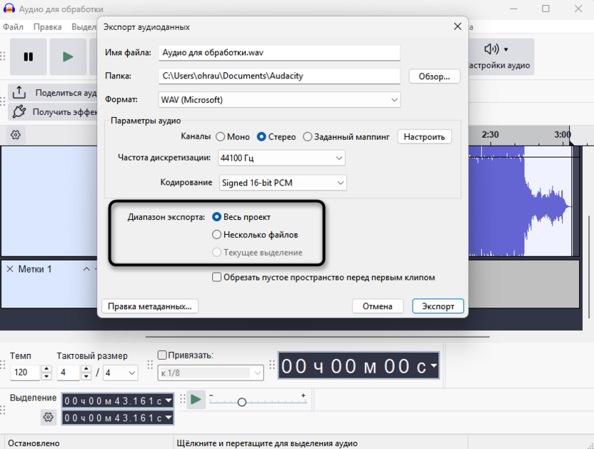 Варианты экспорта файла после разделения дорожки в Audacity