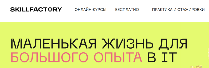 Skillfactory