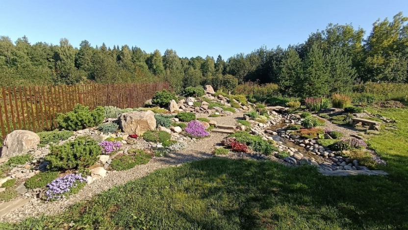 Альпийский