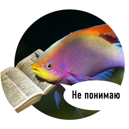 Рыбный текст - пример
